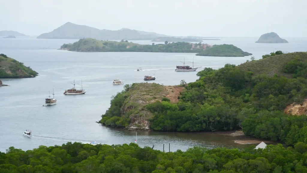 Komodo’s Daily Visitor Quota: What the 2026 Cap Means for Liveaboard Guests