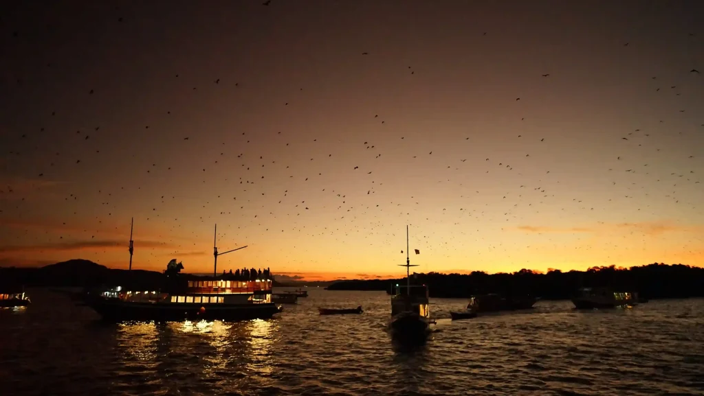 Taka Makassar and Kalong Island: The Sandbar and the Bat Sunset