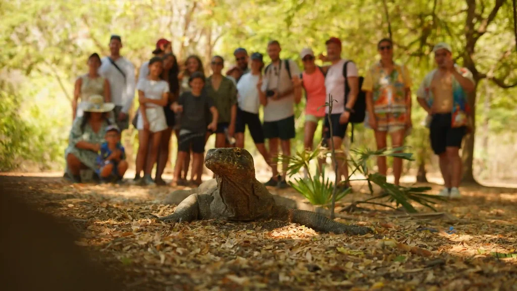 How a Komodo Liveaboard Is Vetted Before It Sails: The 12-Point Standard Explained