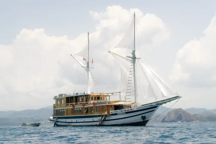 Catnazse Liveaboard Cruise | Komodo Tour | Powered by Komodo Luxury