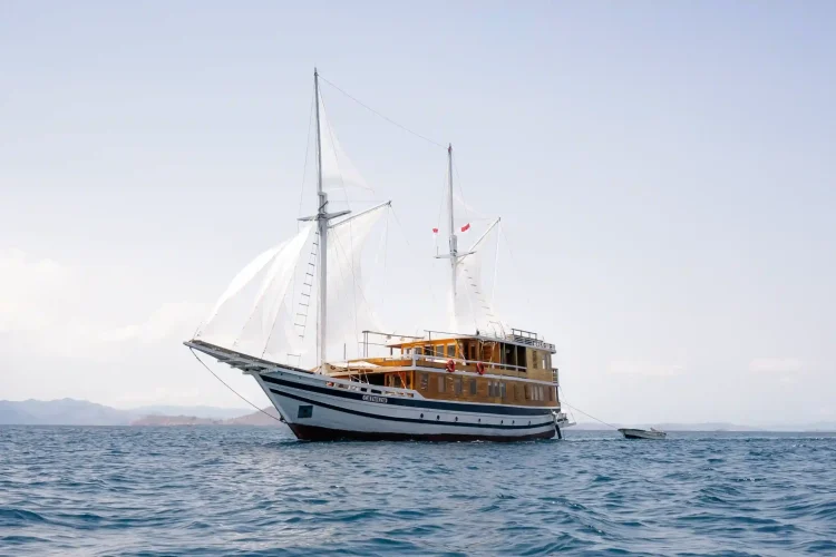 Catnazse Liveaboard | Komodo Tour | Powered by Komodo Luxury